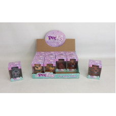 MINI MASCOTA  C/ACCESORIOS 9X6CM  55974