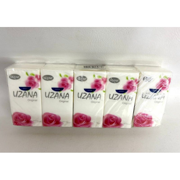 PAÑUELOS DESCARTABLES X10 NS389742