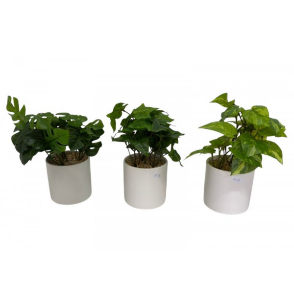PLANTA  ARTIFICIAL C/MACETA CERAMICA BLANCA MONSTERA  24cm 1575
