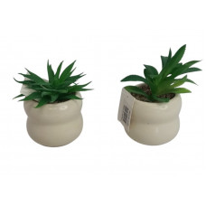 MACETA CERAMICA SUCULENTA ARTIFICIAL 10cm  20980