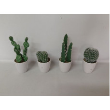CACTUS C/MACETA   053