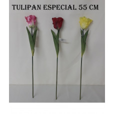TULIPAN ESPECIAL 55CM   298