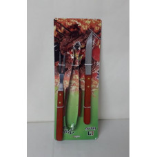 SET ASADO x3   BNB21872