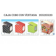 CUBO C/VENTANA 20x20x20cm   CCV