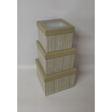 CAJA ORGANIZADORA C/VISOR x3 g20x20x15cm   CA4540