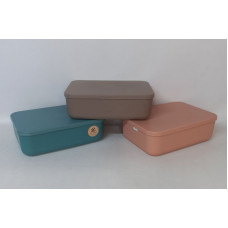 CAJA CON TAPA PLASTICA 26X18X8 P217