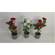PLANTA 4 ROSAS MACETA 30CM NS371146
