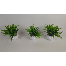 PLANTA MASETA PVC 12CM NS371582