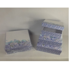 CAJA DISE?O X3 30X30X10CM CA6167