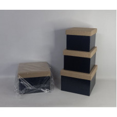 SET CAJA X3 CUADRA 23X23X16CM CA6171