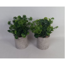 PLANTA CON MASETA CERAMICA 20CM NS371579