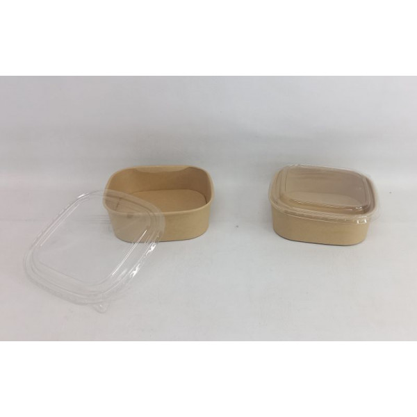 BOWL DESCARTABLE CUADRADO 18X18X6CM 0033ZX