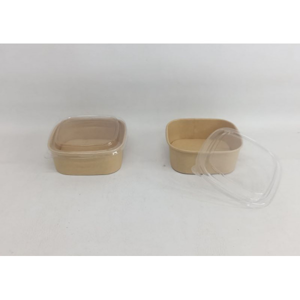 BOWL DESCARTABLE CUADRADO 13X13X5CM 2031ZX