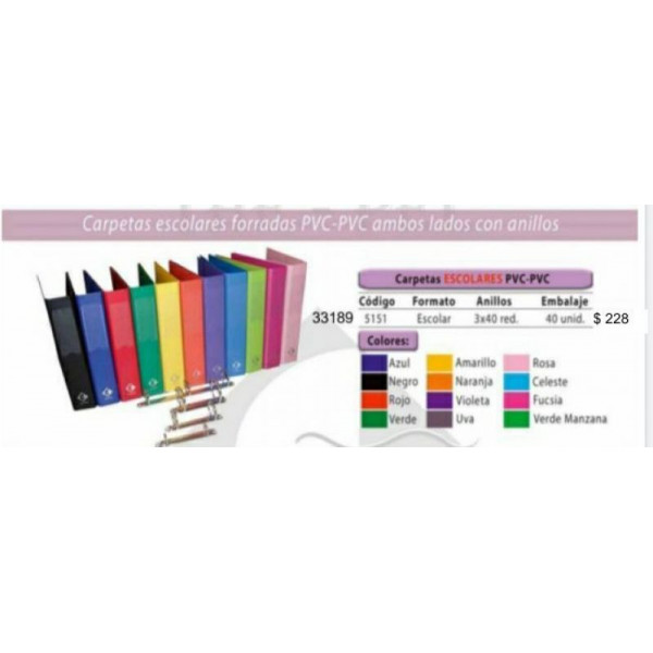 CARPETAS ESCOLAR FORRADAS PVC 3X40