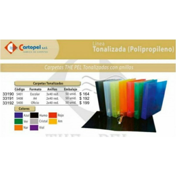 CARPETAS PLASTICAS TONALIZADAS