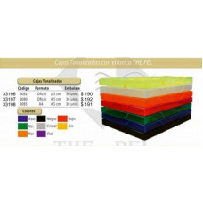 CAJAS PLASTICAS TONALIZADAS CON ELASTICO