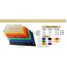 CARPETAS PLASTICAS TONALIZADAS