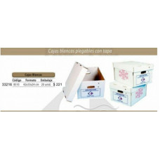 CAJAS BLANCAS CON TAPA