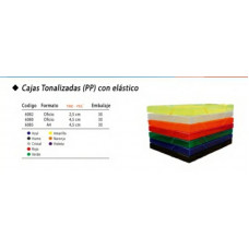 CAJA TONALIZADA C/ELASTICO OF 2.5CM   6082