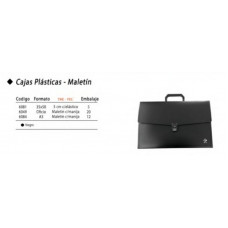 CAJA PLASTICA 5CM C/ELASTICO 35x50   6081