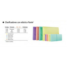 CLASIFICADOR THE-PEL C/ELASTICO PASTELCHEQUERA 12DIV6108 CARTOPEL