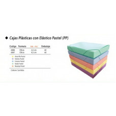 CAJA PLASTICA THE-PEL C/ELASTICO PASTEL OF 2.5CM   6086