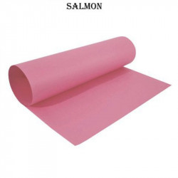 CARTULINA COLOR SALMON 45X63 PAQUETE X 25 HOJAS