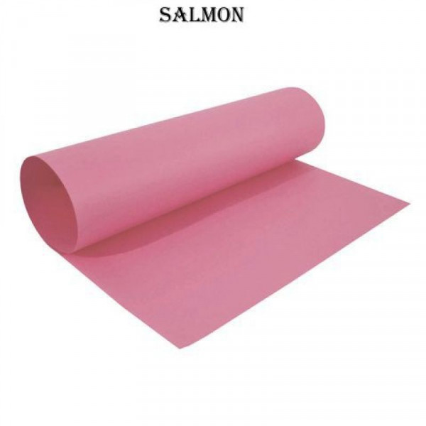 CARTULINA COLOR 45X63 PAQUETE X 25 HOJAS SALMON