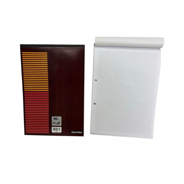 BLOCK A4 CUADRICULADO 80hjs 90gr 023 ASAMBLEA