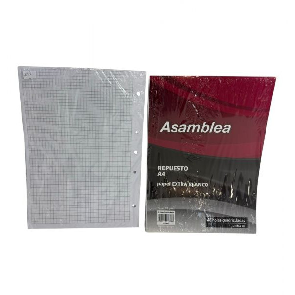 REPUESTO A4 CUADRICULADO 48hjs 90gr 5 PERF 927 ASAMBLEA