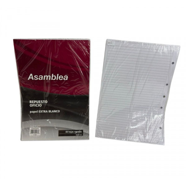 REPUESTO OF RAYADO 48hjs 90gr 5 PERF 928 ASAMBLEA