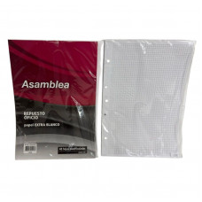 REPUESTO OF CUADRICULADO 48hjs 90gr 5 PERF 928 ASAMBLEA