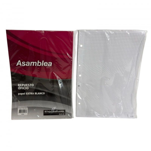 REPUESTO OF CUADRICULADO 48hjs 90gr 5 PERF 928 ASAMBLEA