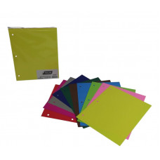 SEPARADOR DE MATERIAS N3 SURTIDO X10 2200 MIL28