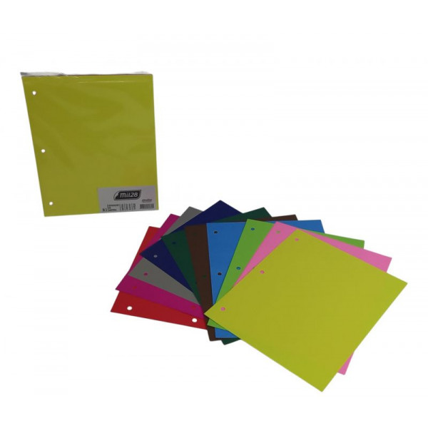 SEPARADOR DE MATERIAS N3 SURTIDO X10 2200 MIL28