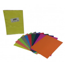 SEPARADOR DE MATERIAS A4 SURTIDO X10 2400 MIL28