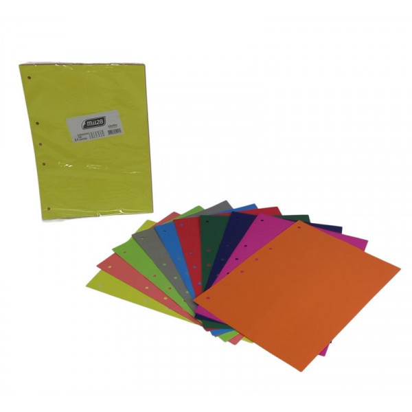 SEPARADOR DE MATERIAS A4 SURTIDO X10 2400 MIL28