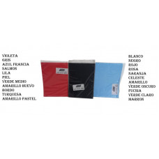 SEPARADOR DE MATERIAS A4 COLOR X25