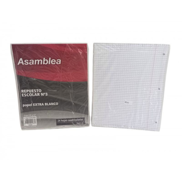 REPUESTO ESCOLAR CUADRICULADO 24hjs 90gr 487 ASAMBLEA