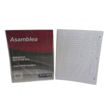 REPUESTO ESCOLAR RAYADO 48hjs 90gr 488 ASAMBLEA