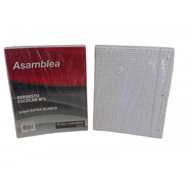 REPUESTO ESCOLAR CUADRICULADO 96hjs 90gr 488 ASAMBLEA