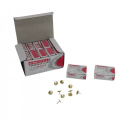 CHINCHES DORADAS X50 10/1212  ASB