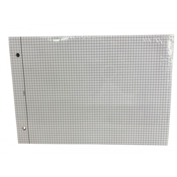 REPUESTO OF APAISADO 48hjs CUADRICULADO 640C NORPAC