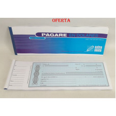 PAGARÉ EN DOLARES 40HJS 30X10CM 4508