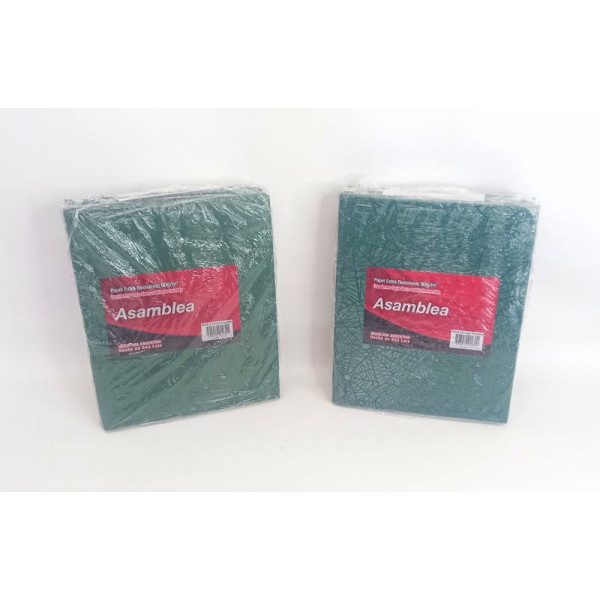 CUADERNO 19X23cm T/D VERDE 50hjs RAYADO 90grs ASAMBLEA
