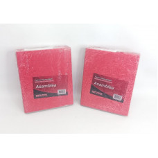 CUADERNO 19X23cm T/D ROJO 50hjs RAYADO 90grs ASAMBLEA