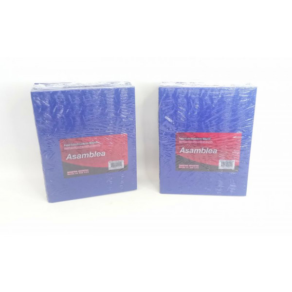 CUADERNO 19X23cm T/D AZUL 100hjs RAYADO 90grs ASAMBLEA