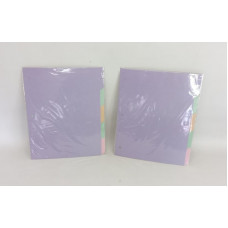 SEPARADOR DE MATERIA N3 C/PESTAÑA LISO PASTEL X5 ESI-024