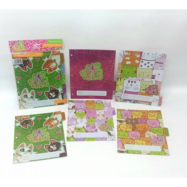 SEPARADOR MATERIA N3 X5 CAT WORLD REXON